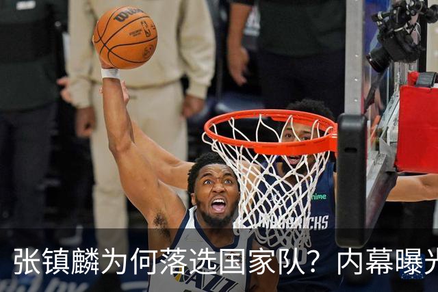 张镇麟为何落选国家队？内幕曝光，叫人心疼，郭士强并没放弃他